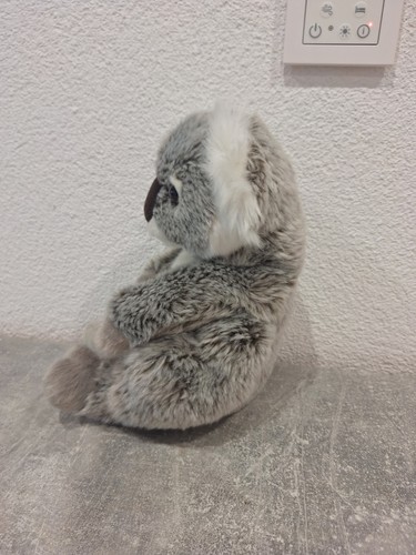 Weiches koala kuscheltier - weiches, koala-kuscheltier