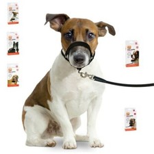 Nylon Halti Führungshilfe