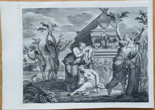 Schestern des phaeton - schestern, zu