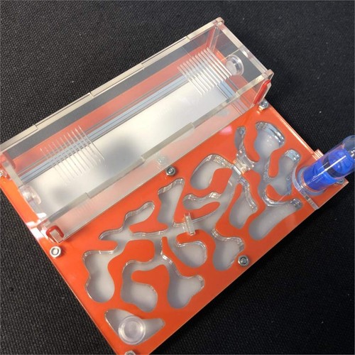 Ant farm educational - farm,