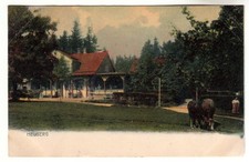 Friedrichroda Gasthaus "Heuberg" 07.10.1911 (Bad Tabarz Waltershausen Gotha)