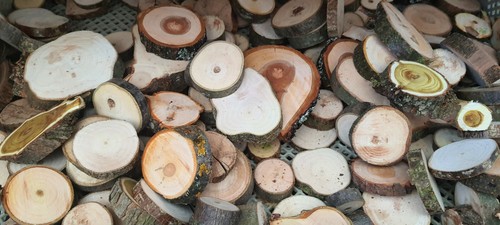 Laubholz holzscheiben - laubholz,