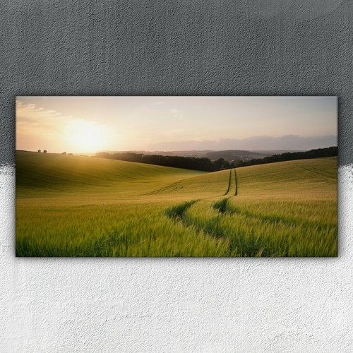 Landschaft des weizenfeldes - des,