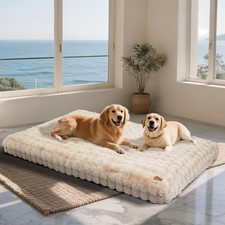 Orthopädisches hundebett - orthopädisches,