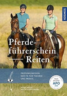 Pferdeführerschein reiten - pferdeführerschein,