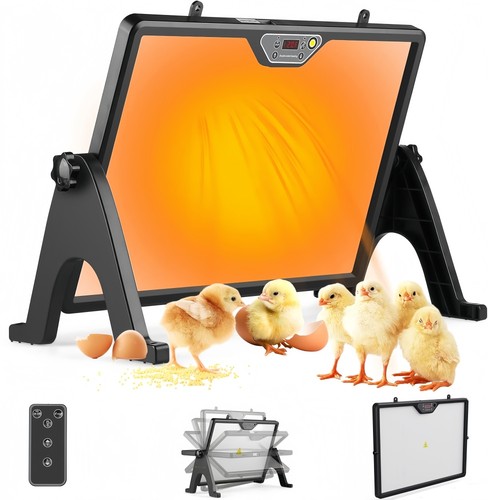 Küken wärmeplatte mit - wärmeplatte,