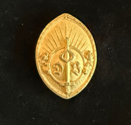 Goldenes ehrenzeichen - goldenes,