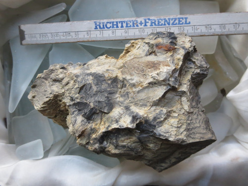 Opal sog holzopal - *, diatomeen