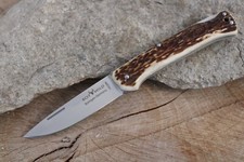 ROTWILD "Reineke" Hirschhorn