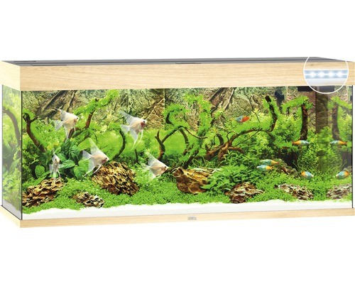 Aquarium juwel rio 240 mit - rio,