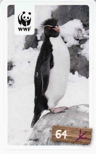 Rewe wwf tier - wwf, abenteuer