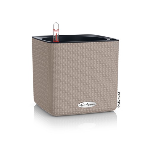 Lechuza cube color - lechuza,