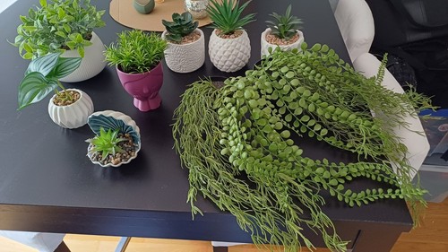 Kunstpflanzen abzugeben - 9,