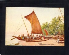 I0867 Colombo Katamaran Native