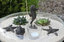 Gusseisen Maritim, Seestern