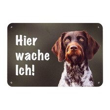 DEUTSCH DRAHTHAAR Braun