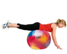 Togu Powerball ABS, Gymnastikball 55 cm mit Ballschale, bunt,Größe M,Fitnessball