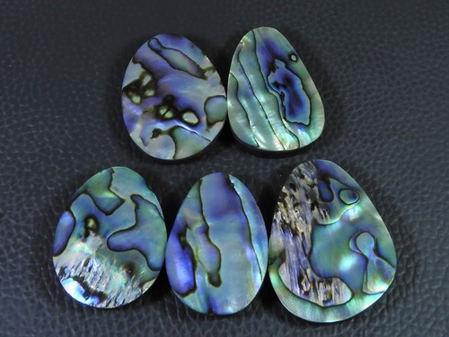 Stck abalone muschel fancy - 5,