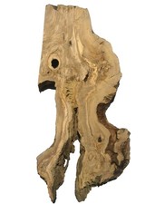 1x Oliven Wurzelholz Holz