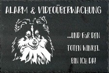 SHELTIE Hundewarnschild