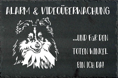 Sheltie hundewarnschild - sheltie,