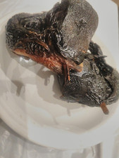 Authentisch nigerianisch geräuchert, Wels 200g Eja Obokun Kochen in Egusi Gemüse, Okaro Suppe