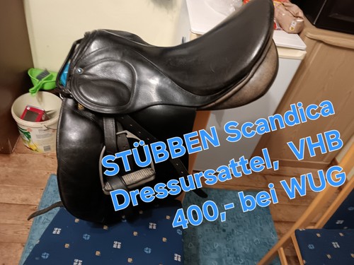 Stübben scandica dressur - scandica,