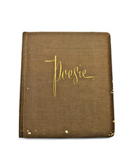 schönes, altes Poesie Album