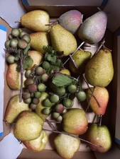 Obst Äpfel Birnen Trauben Styropor beflockt Konvolut Deko Adventskranz Basteln