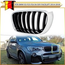 Grill Nieren Einzellinien