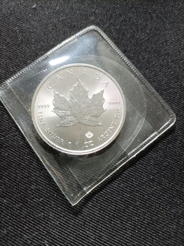 Maple leaf dollars - maple, 2021