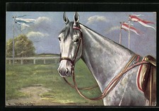 Künstler-AK August Müller - München: Rennpferd auf einer Rennbahn 1907 