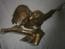 Antiker Adler Greifvogel aus