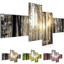 Wandbilder Wald Landschaft