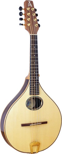 Ashbury lindisfarne mandoline - ashbury,