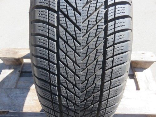 Dunlop winter 225 17 - dunlop,