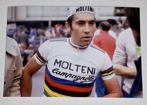Foto radfahrer eddy merckx - foto,