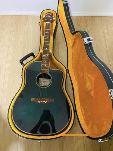 Elektrische akustikgitarre - elektrische,
