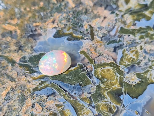 Top farben welo - opal, x