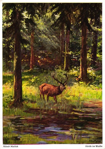 Jagd hirsch alfred mailick - alfred,