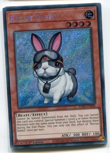 Rescue rabbit secret - rabbit,