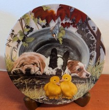 Sammelteller des Schweizer