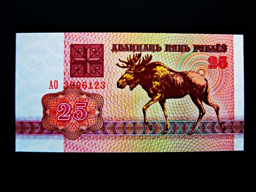 Weißrussland rubel 1992 - 25,