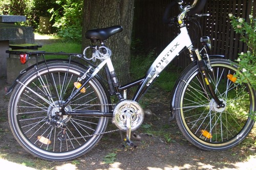 Damen trekking bike - damen, trekking-bike