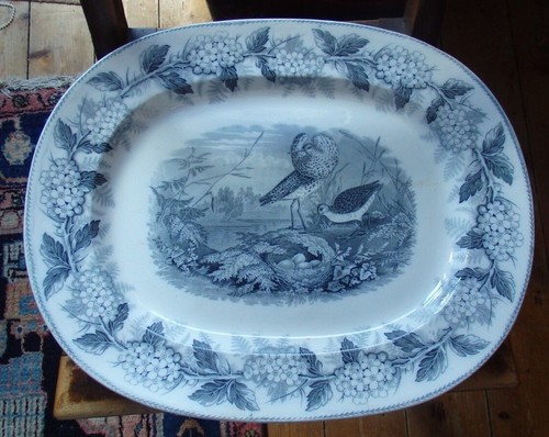 Samuel alcock co - &,