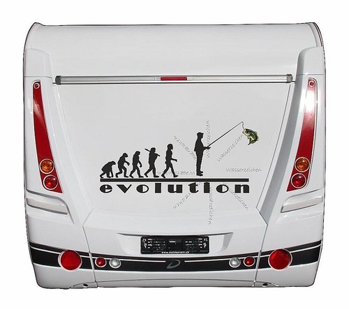 Evolution angler barsch - angler,