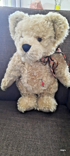Teddybär mit brummstimme - teddybär,