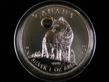 Kanada Timber Wolf 2011 5