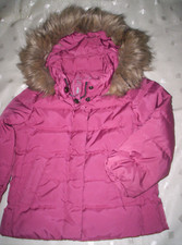 Allerliebste "Palomino"