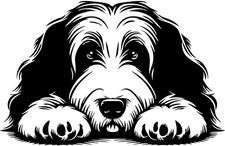 BEARDED COLLIE Aufkleber -